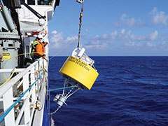 Discover More About Tsunami Lessons From The Chathams Learnz